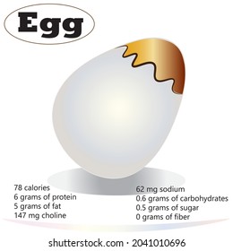 peeled egg, with the yolk visible at the top, along with text description of the nutritional content in an egg, concept image for children to learn about the benefits of food for their body