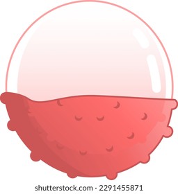 Peeled Lychee Pink Fruit Tropical Fresh Juicy Summer Isolated