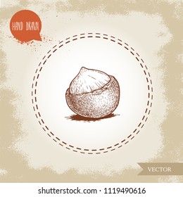 Peeled macadamia nut seed with shell. Hand drawn sketch style vector illustration isolated on retro background. Botanical drawing. Australian nut. Best for food and cosmetics with oil designs.