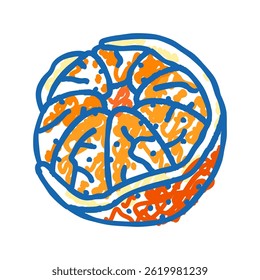 descascado mandarin ícone doodle esboço vetor. descascado sinal mandarin. ilustração símbolo isolado