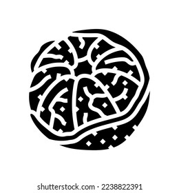 geschälte Mandarinenglyph-Symbol-Vektorgrafik. Mandarinenschild geschält. einzelne Symbolillustration