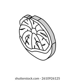 peeled mandarin isometric icon vector. peeled mandarin sign. isolated symbol illustration