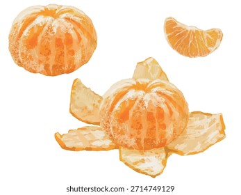 Laranjas de tangerina descascadas e um conjunto de ilustrações de tangerinas