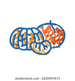 descascado mandarin peel ícone doodle esboço vetor. descascado mandarin peel sinal. símbolo isolado ilustração