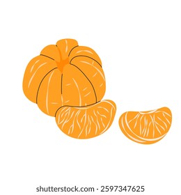 Peeled mandarin. Slices of ripe tangerine. Citrus orange fruit. Aromatic sweet tangerine. Flat illustration on white background.