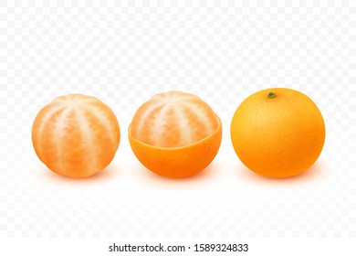 Peeled orange vector isolated on white background.