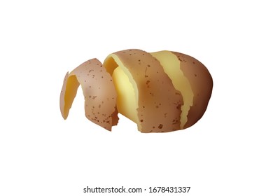 Peeled Potato. Vector illustration Vegetarian tuber food