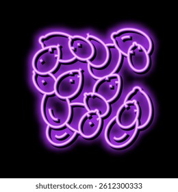 peeled pumpkin seeds neon light sign vector. peeled pumpkin seeds illustration