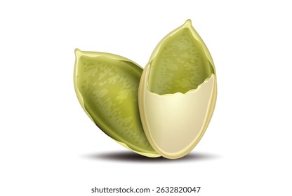 Sementes de abóbora descascadas sobre fundo branco. Em seção ou em processo de descamação. Vetor realista, close. Usado para publicidade, embalagem, colagem, web design de alimentos, jardinagem, negócios