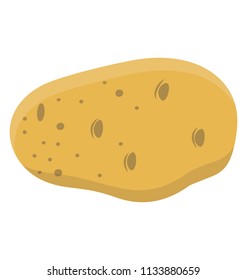 Peeled raw potato slice for frying or baking purpose 