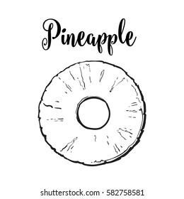 Peeled round pineapple slice with hole in the middle, top view, sketch style vector illustration isolated on white background. Realistic hand drawing of fresh, ripe pineapple slice