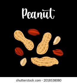 Peeled and in shell peanuts. Healthy nutrition product. Vector hand drawn flat  isolated illustration with dry brush texture and hand written lettering for your design.