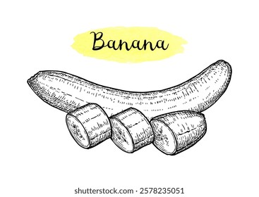 Peeled and sliced banana. Isolated ink sketch. Hand drawn vector illustration. Retro style.