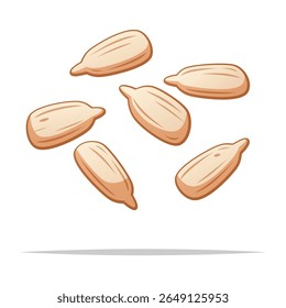Peeled sunflower seeds vector isolated illustration