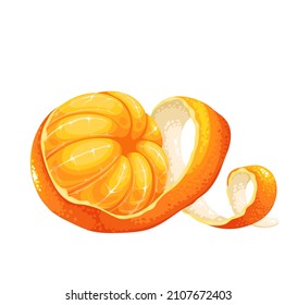 Peeled tangerine or mandarin fruit with twist skin vector illustration.