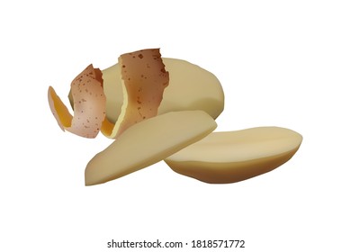 Peeled tuber Potatoes. Vector illustration Vegetarian food