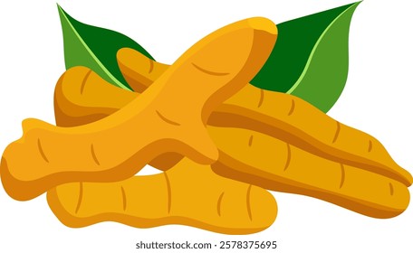 Peeled Turmeric Root with Leaves Illustration Isolated on White Background	
