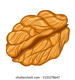 Peeled walnut. Vector illustration isolated on white background for packaging design, labels and much more.