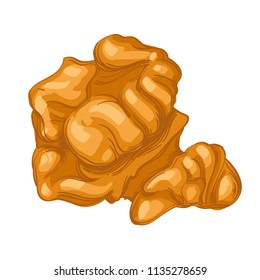 Peeled walnut. Vector illustration isolated on white background for packaging design, labels and much more.
