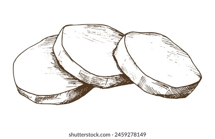 Patatas blancas peladas, cortadas en rodajas redondas y dobladas en una pila. Ilustración gráfica dibujada a mano en arte de línea de tinta marrón sobre el tema de cosecha, cocina, comida, verduras. Elemento Vector EPS