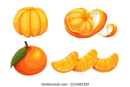 nice tangerine design 4430287 Vector Art at Vecteezy