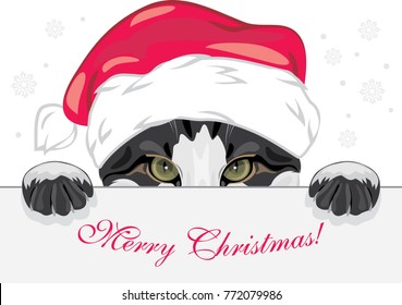 Peeping funny cat in a Christmas cap. Vector