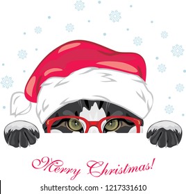 Peeping funny cat in a red glasses and Christmas cap. Vector