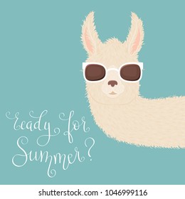 Peering llama in sunglasses and hand lettering "ready for Summer?" on blue background