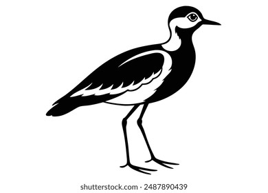 peewit bird silhouette vector illustration