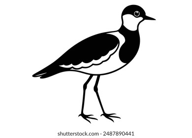 Peewit Bird Silhouette Vektorillustration