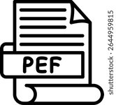PEF Pentax electronic file camera raw