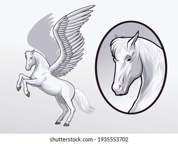 Pegasus drawing for Illustration and design element