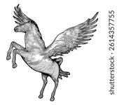 Pegasus Fly Horse Vector 02. A Vector Illustration Of Flying Horse With Wings Isolated On White Background.