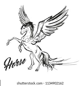 Pegasus greek mythological creature. Legendary beast concept drawing. Heraldry figure. Vintage tattoo design. Sketch isolated on a white background