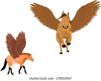 Pegasus horses 