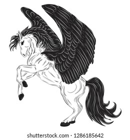 pegasus line art vector illustration