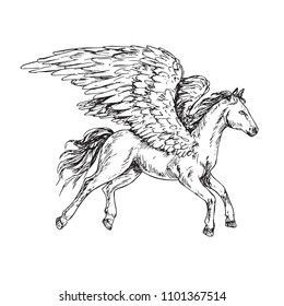 Pegasus side view, hand drawn outline doodle sketch, black and white vector illustration