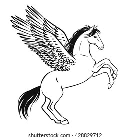 Pegasus. Vector hand drawn illustration