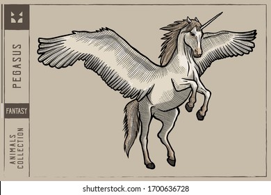 Pegasus Vector illustration - Hand drawn