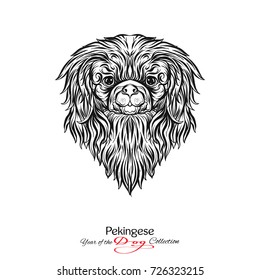 Pekingese. Black and white graphic drawing of a dog head. 