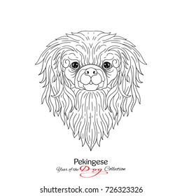 Pekingese. Black and white graphic drawing of a dog head. 