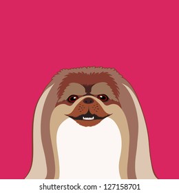 Pekingese, The buddy dog