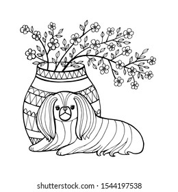 Pekingese. Decorative breed dogs. Coloring book page. Vector illustration. Pekinese. Vector logo pure-bred
