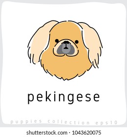 Pekingese : Dog Breed Collection : Vector Illustration