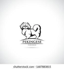 Pekingese dog -  isolated vector illustration