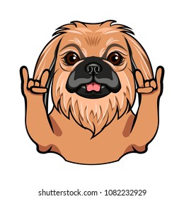 Pekingese dog. Rock gesture. Horns. Dog portrait. Pekingese breed. Vector illustration.