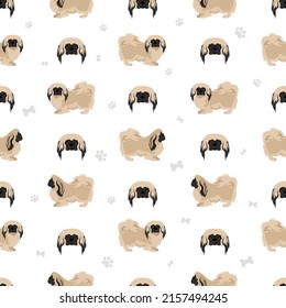 Pekingese dog seamless pattern. Different poses, coat colors set.  Vector illustration
