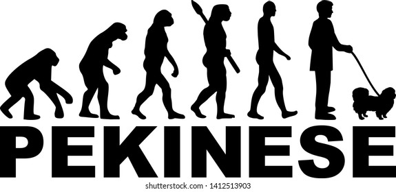 Pekingese evolution with german name
