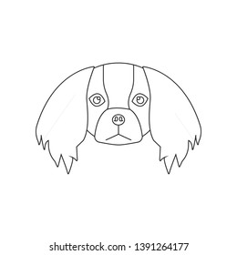 Pekingese face icon. Element of dog for mobile concept and web apps icon. Outline, thin line icon for website design and development, app development