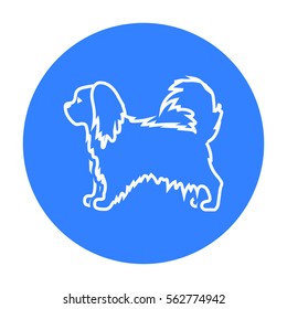 Pekingese vector icon in black style for web